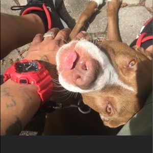 Meet your Posher, Diana